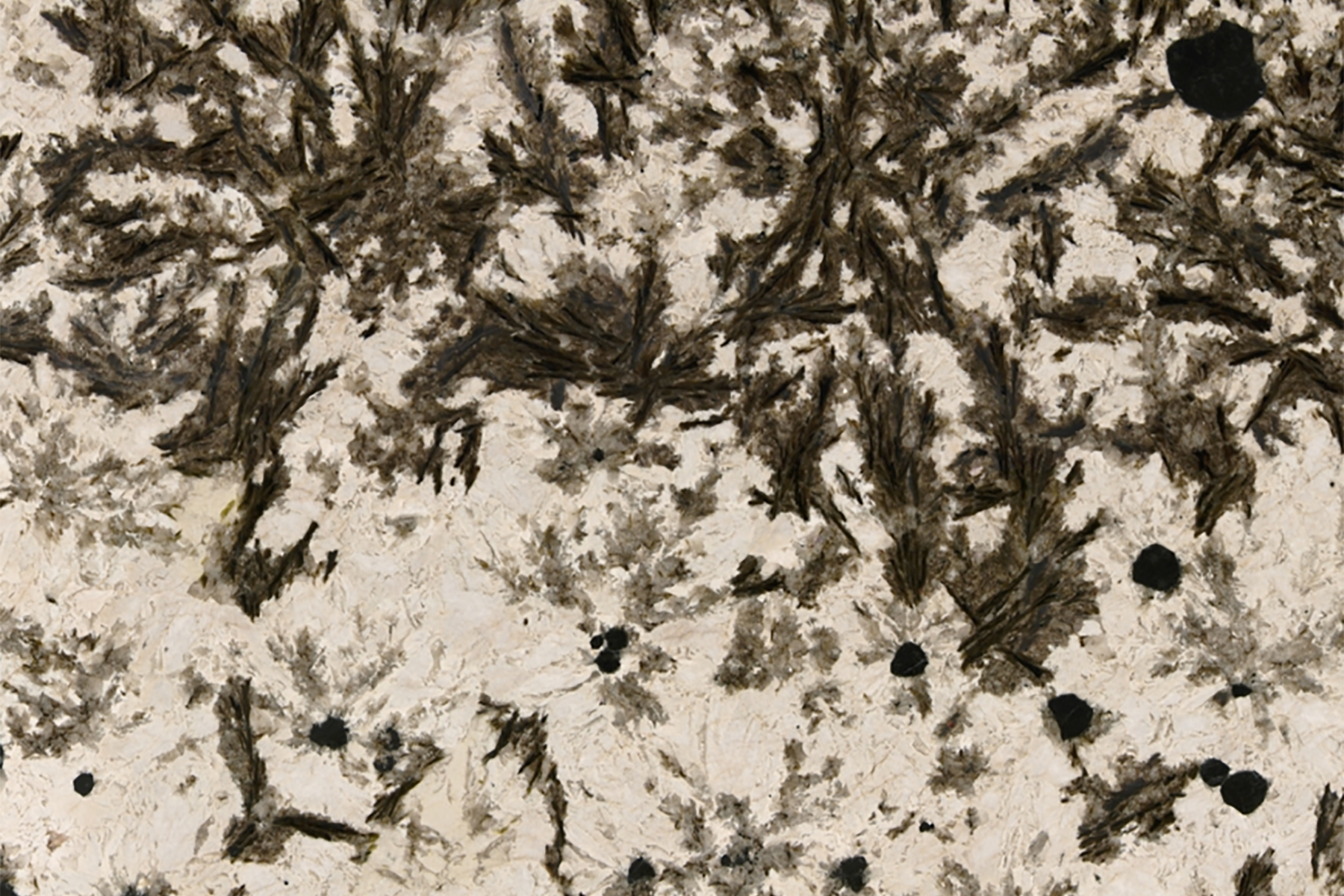 Alpinus Quartzite Decor Stone Counter Top